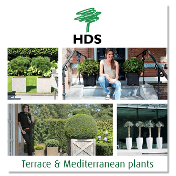 HDS_Mediterrane Cover